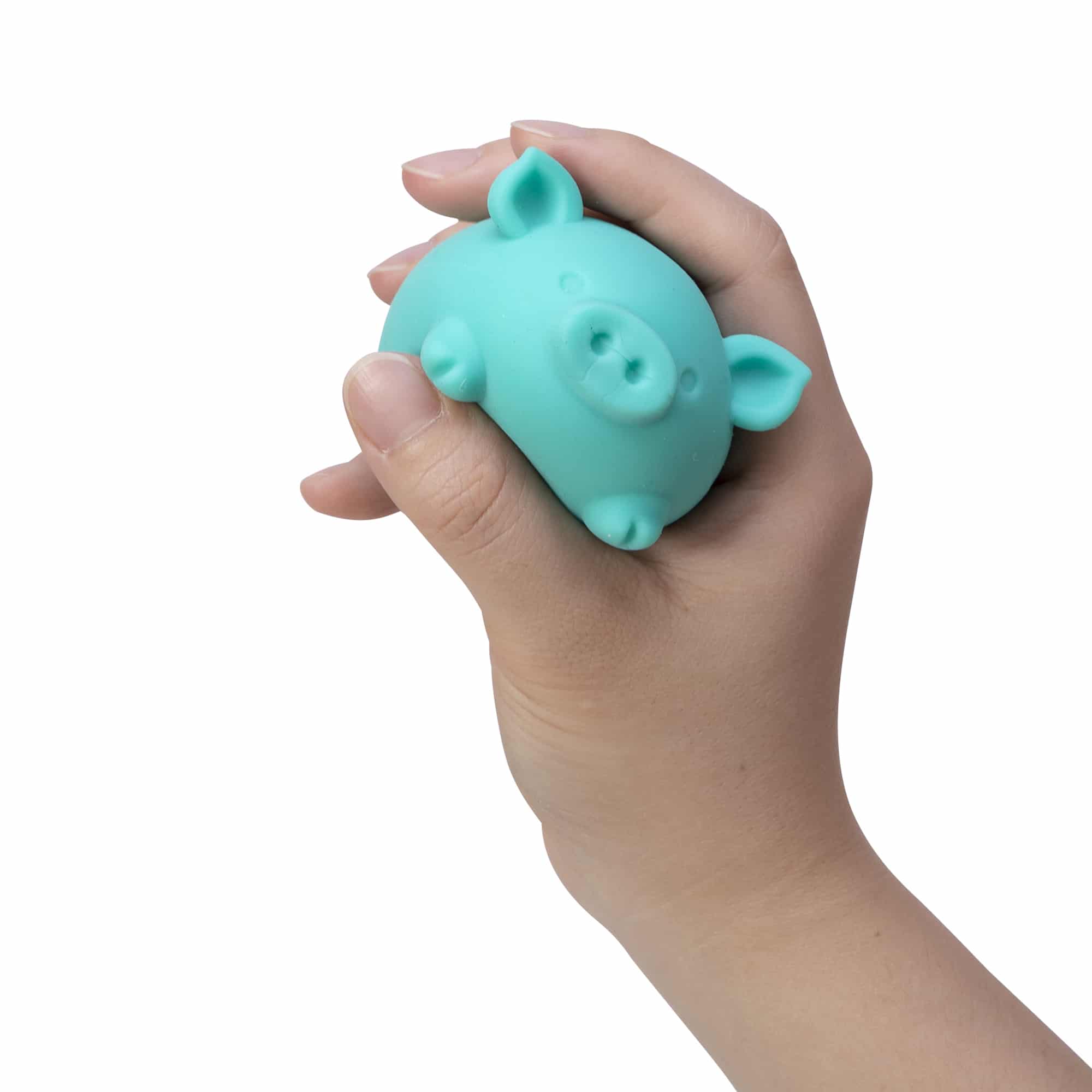 NeeDoh Dig’ It Pig 12