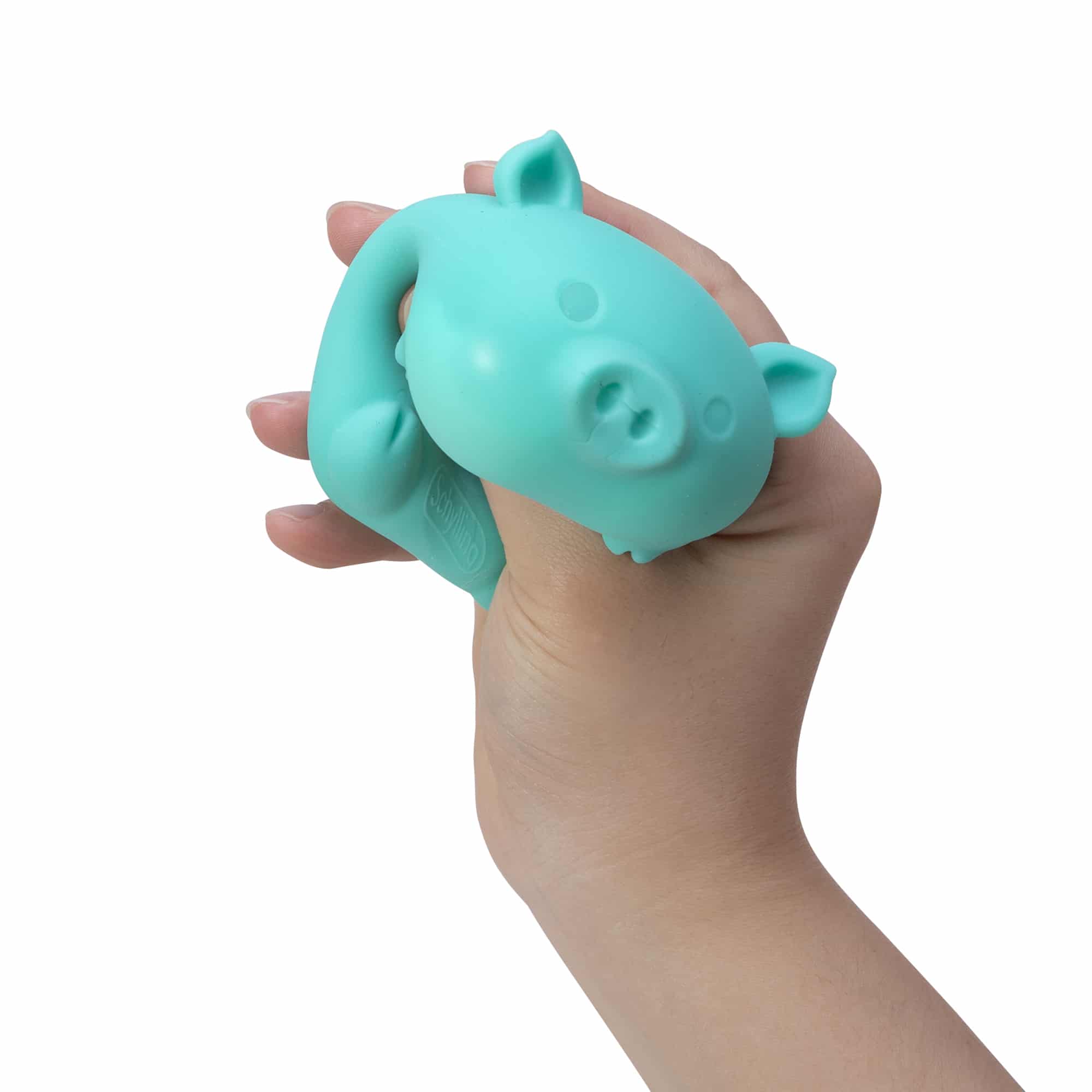 NeeDoh Dig’ It Pig 13