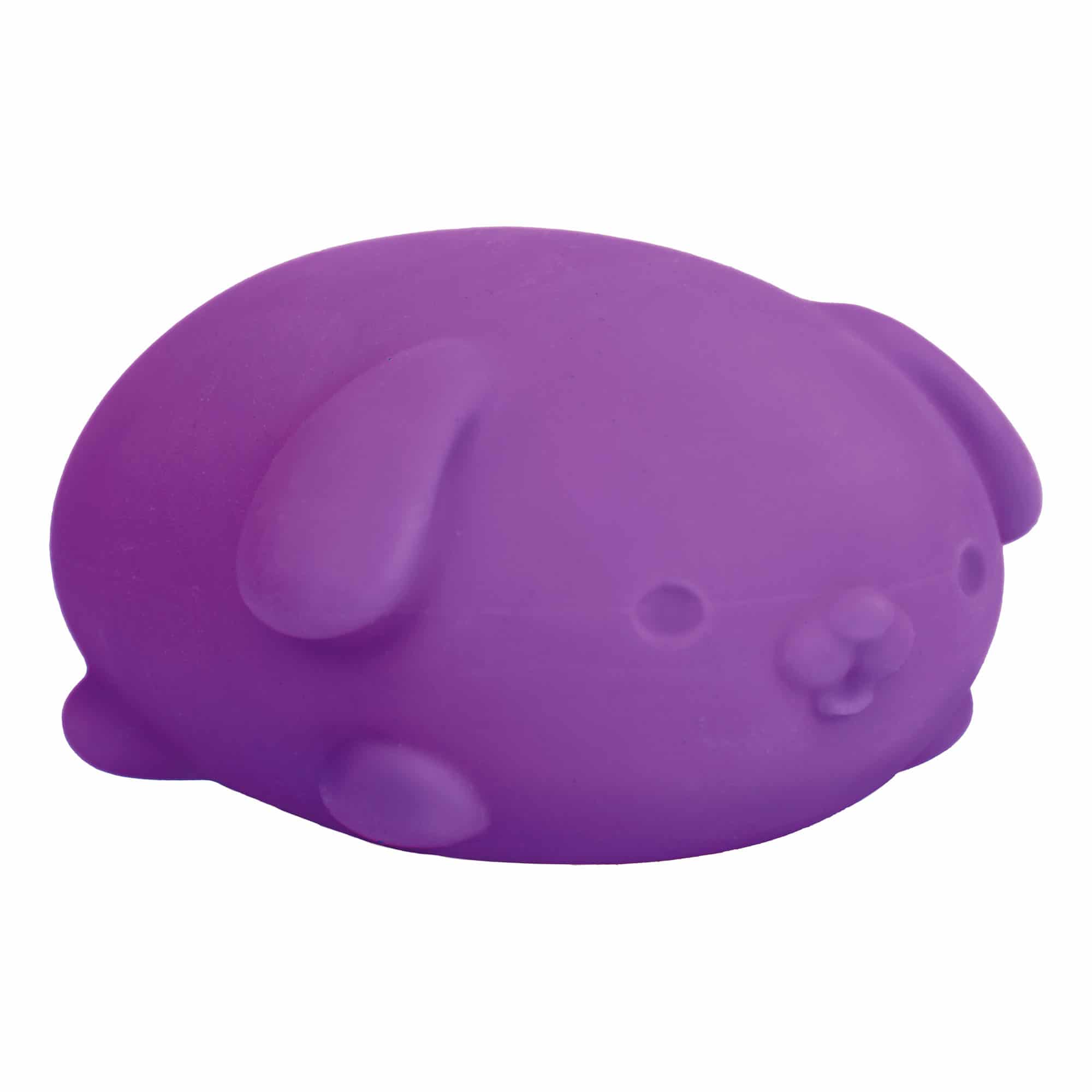 NeeDoh Funky Pup 10