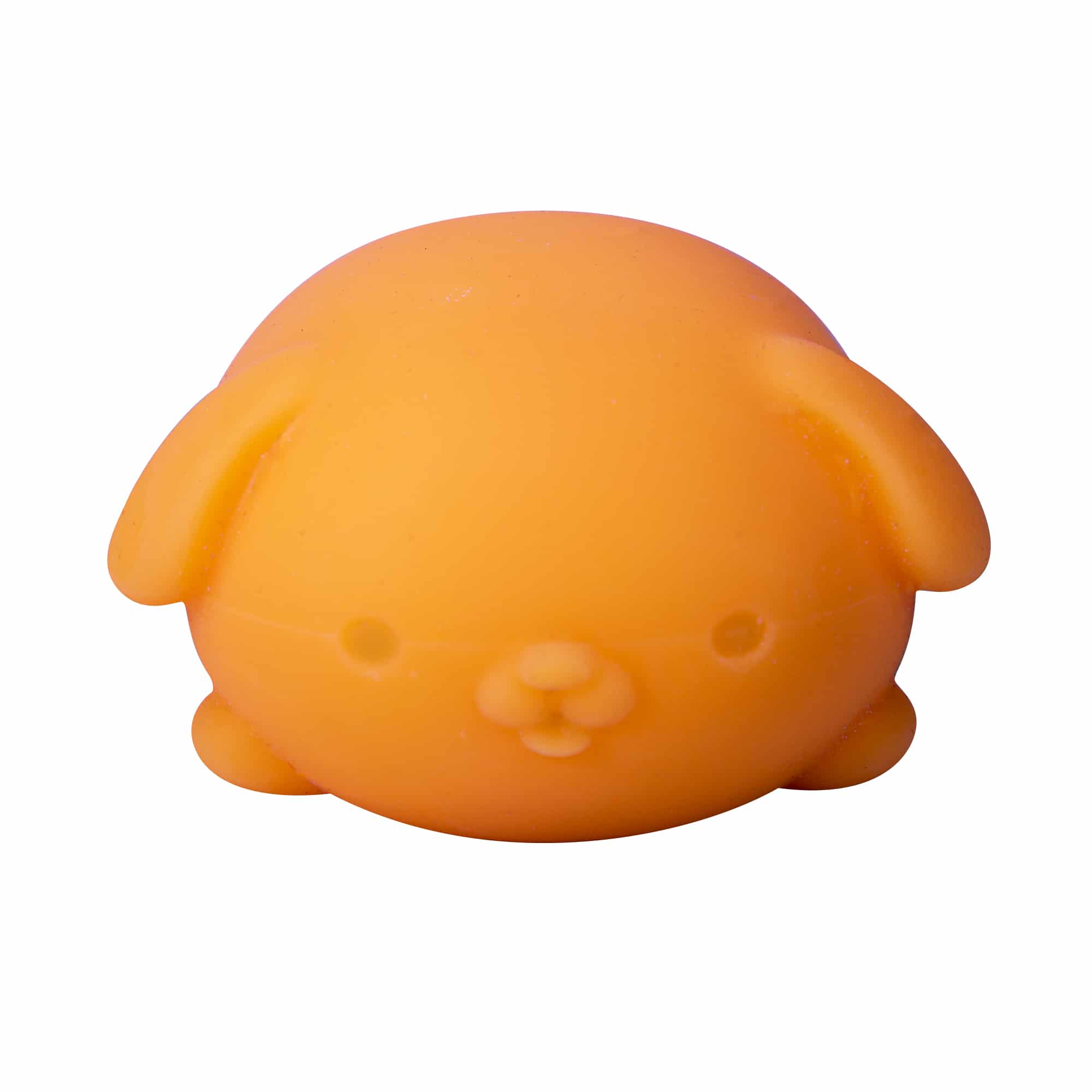 NeeDoh Funky Pup 18