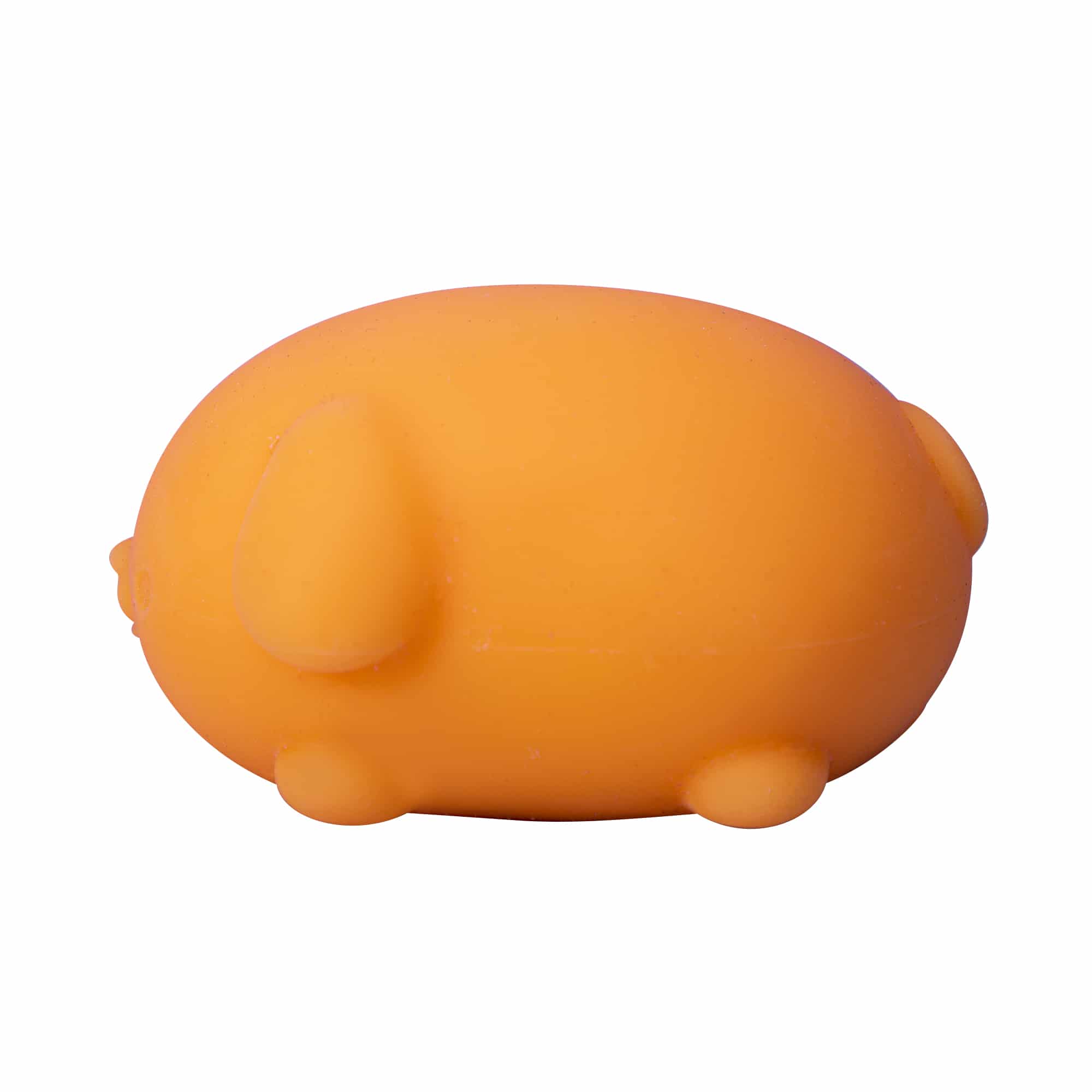 NeeDoh Funky Pup 19