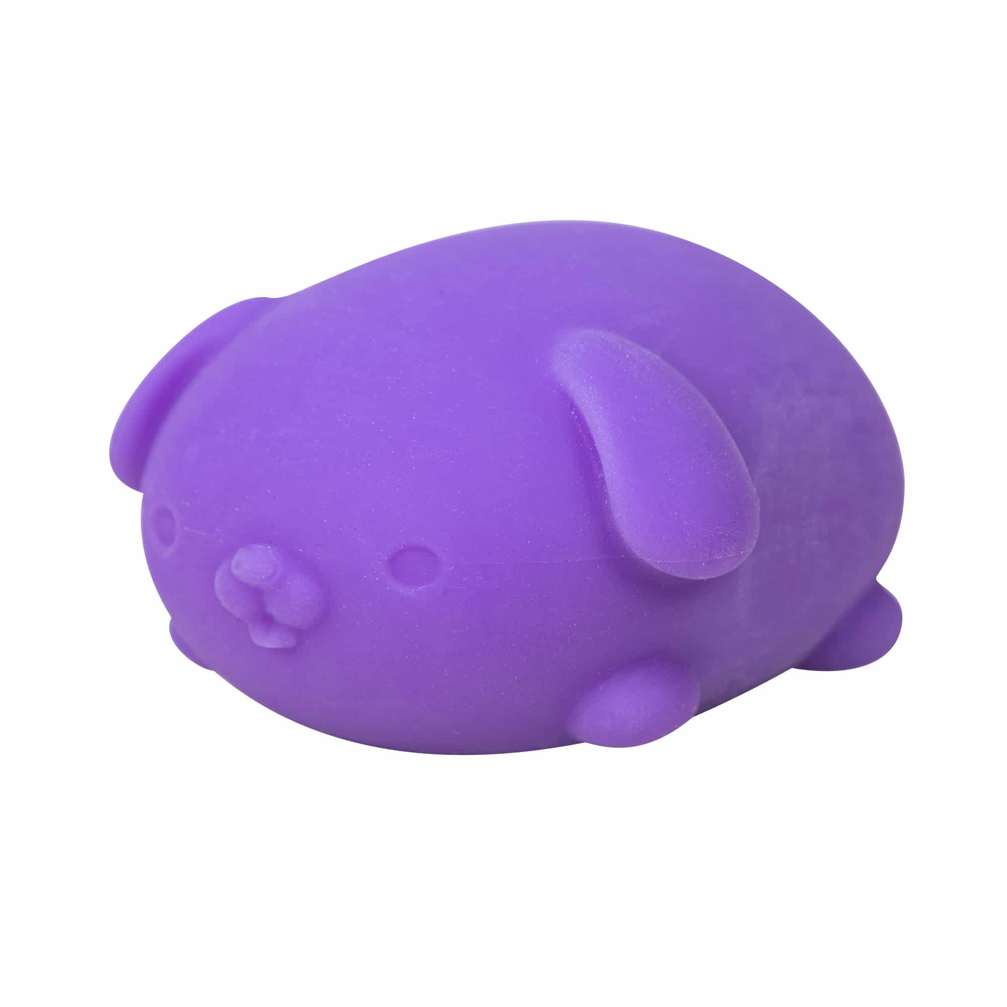 NeeDoh Funky Pup 31