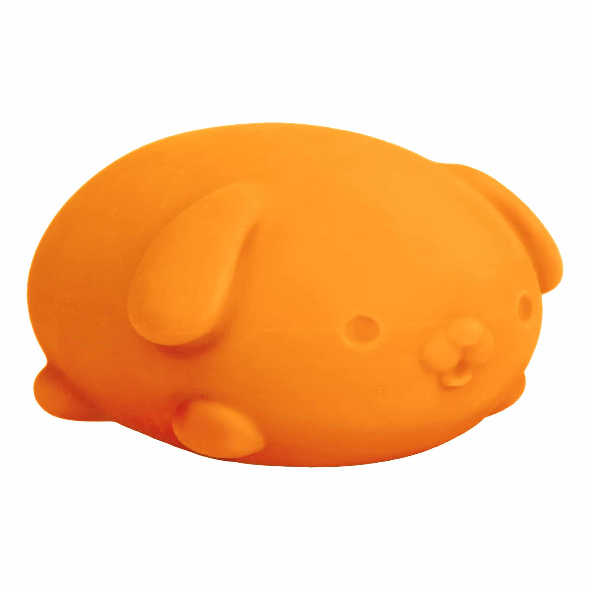 NeeDoh Funky Pup 7