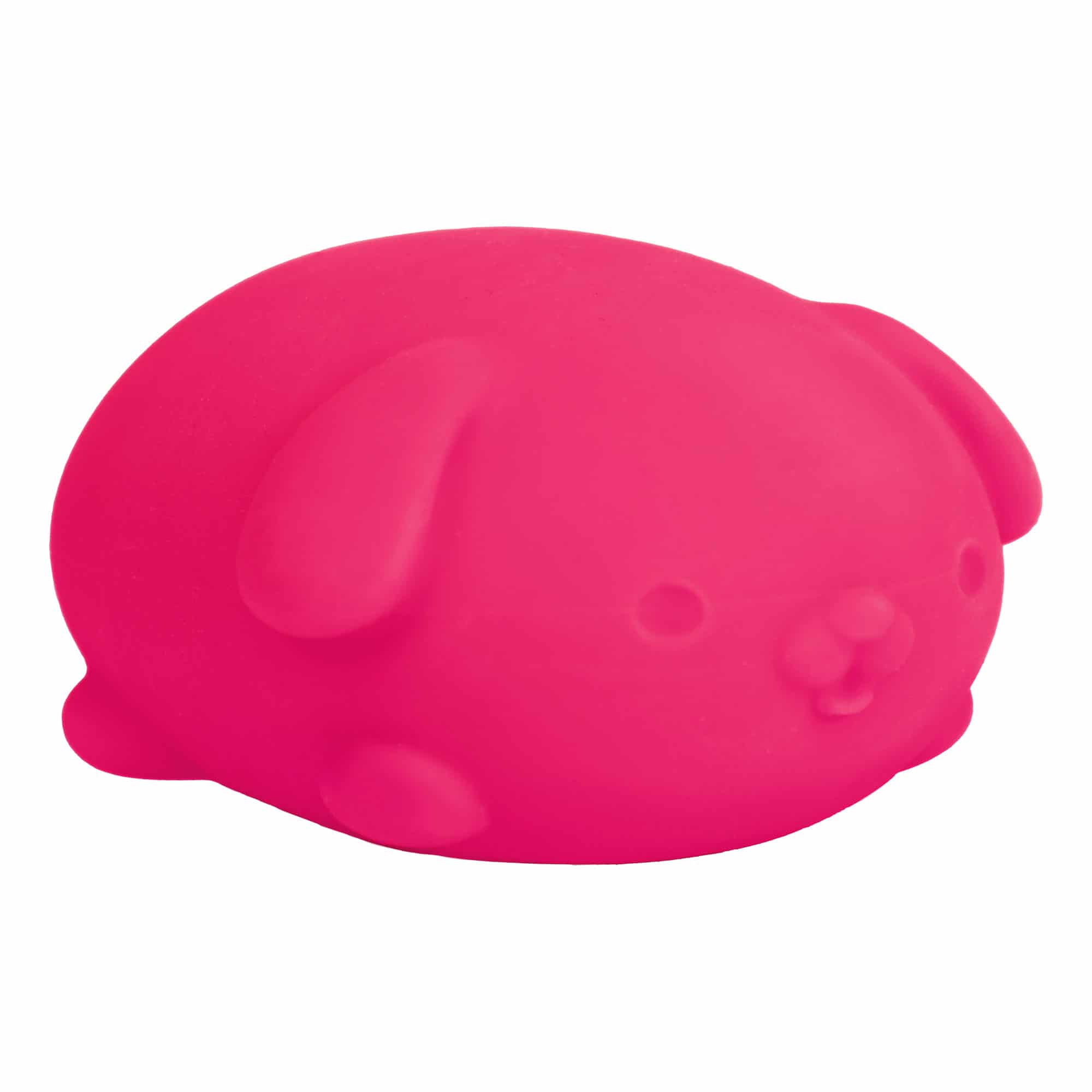 NeeDoh Funky Pup 8