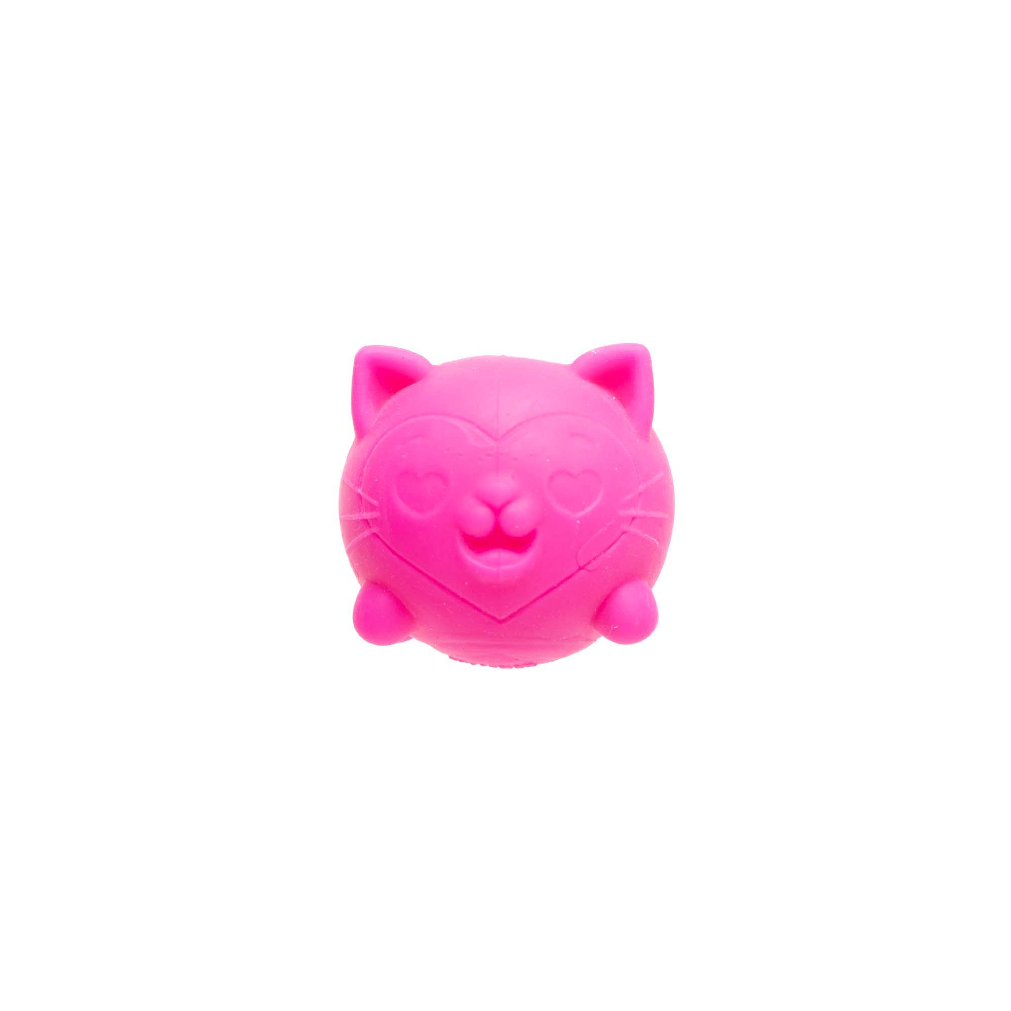 Teenie NeeDoh® Cool Kittens Multipack 11